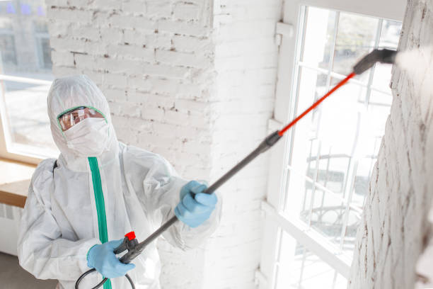 Best Post-Remediation Verification Testing  in Lake Sarasota, FL