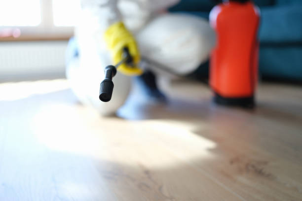 Professional Mold Removal in Lake Sarasota, FL