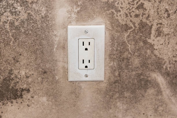 Best Mold Prevention Services  in Lake Sarasota, FL